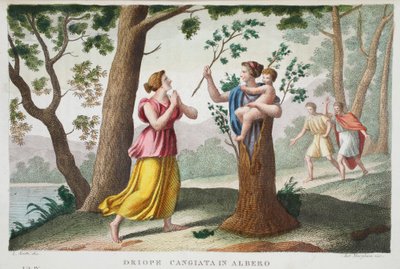 Dryope en arbre ou Driope changée en arbre, Livre IX, illustration des Métamorphoses d